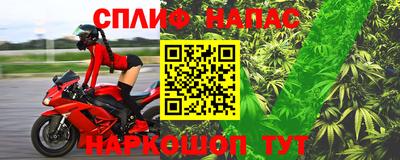спиды Гусев