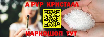 спиды Гусев